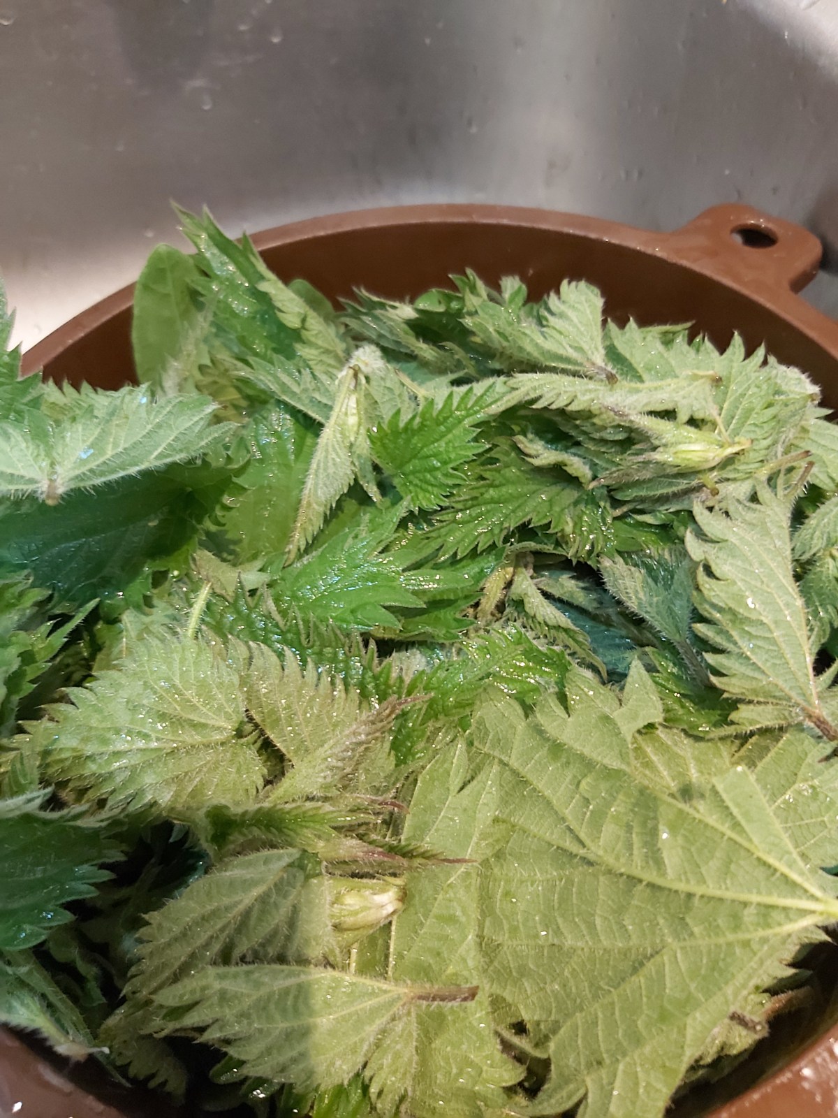 Foraged nettle and sorrel&nbsp;soup